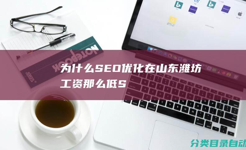 为什么SEO优化在山东潍坊工资那么低-——SEO专家李金风的薪资待遇困境解析