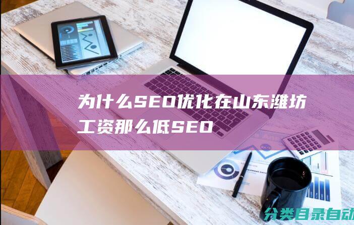 为什么SEO优化在山东潍坊工资那么低-SEO专家李金风深入探讨薪资待遇问题