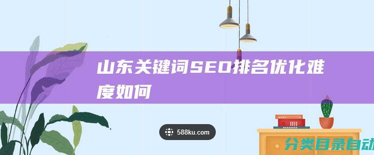 山东关键词SEO排名优化难度如何