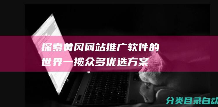 探索黄冈网站推广软件的世界-一揽众多优选方案