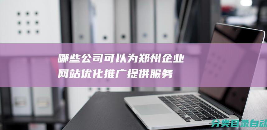 哪些公司可以为郑州企业网站优化推广提供服务