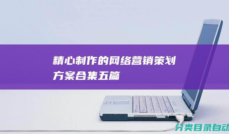 精心制作的网络营销策划方案合集-五篇