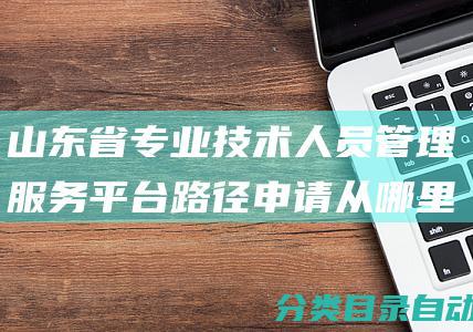 山东省专业技术人员管理服务平台路径申请从哪里操作