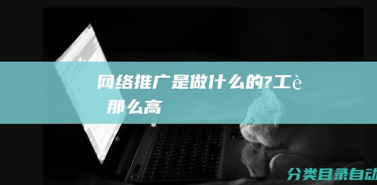 网络推广是做什么的?工资那么高