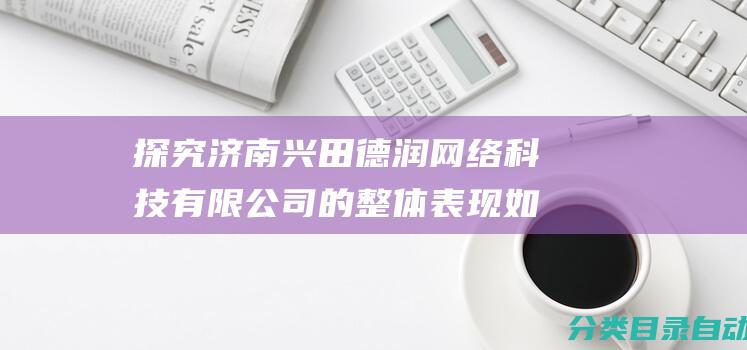 探究济南兴田德润网络科技有限公司的整体表现如何