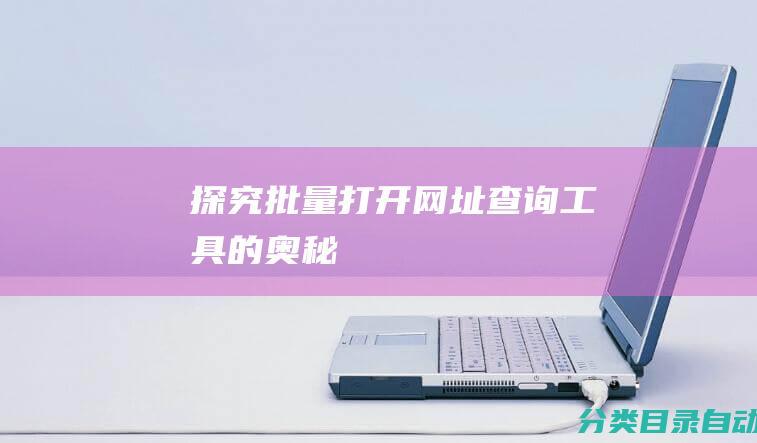 探究批量打开网址查询工具的奥秘