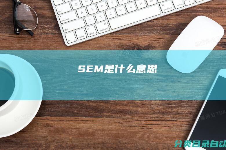 SEM是什么意思