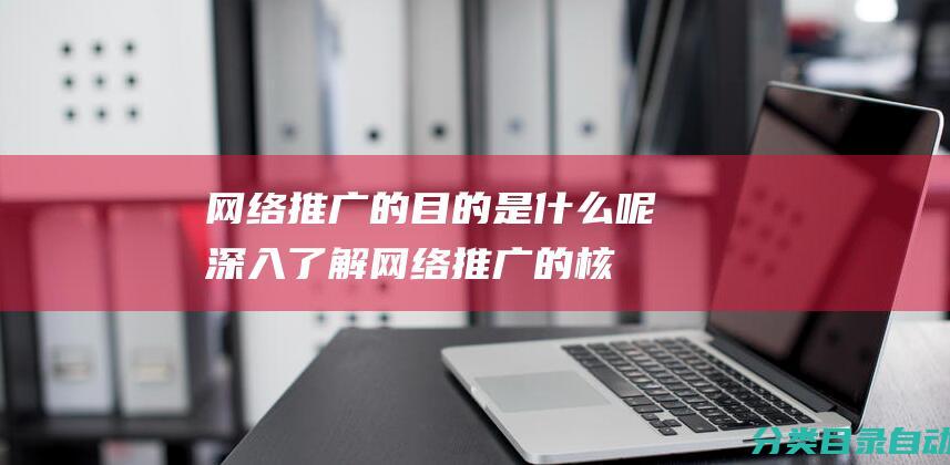 网络推广的是什么呢深入了解网络推广的核