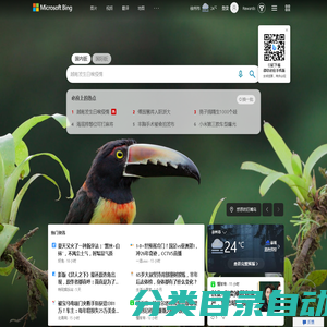 微软 Bing 搜索 - 国内版