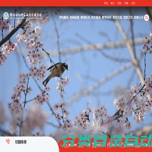 盐城幼儿师范高等专科学校