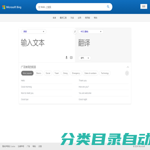 Bing Microsoft Translator