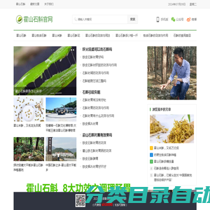 霍山石斛的功效与用法_霍山石斛多少钱一斤_霍山石斛网