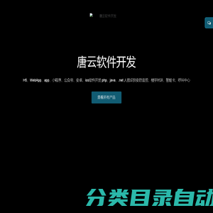 唐云软件开发 H5、WebApp、app、小程序、公众号、安卓、ios软件开发 php、java、.net 人脸识别安防监控、楼宇对讲、智能卡、呼叫中心