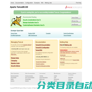 Apache Tomcat/8.5.60