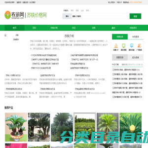 苏铁是什么植物_苏铁图片_苏铁价格-农苗网