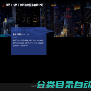 微贷（杭州）金融信息服务有限公司
