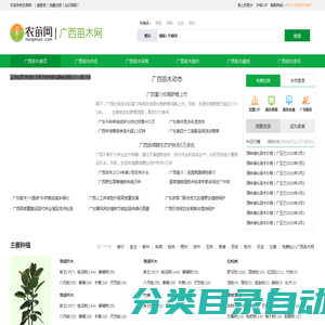 广西苗木_广西苗木基地_10月广西苗木价格_广西苗木网-农苗网